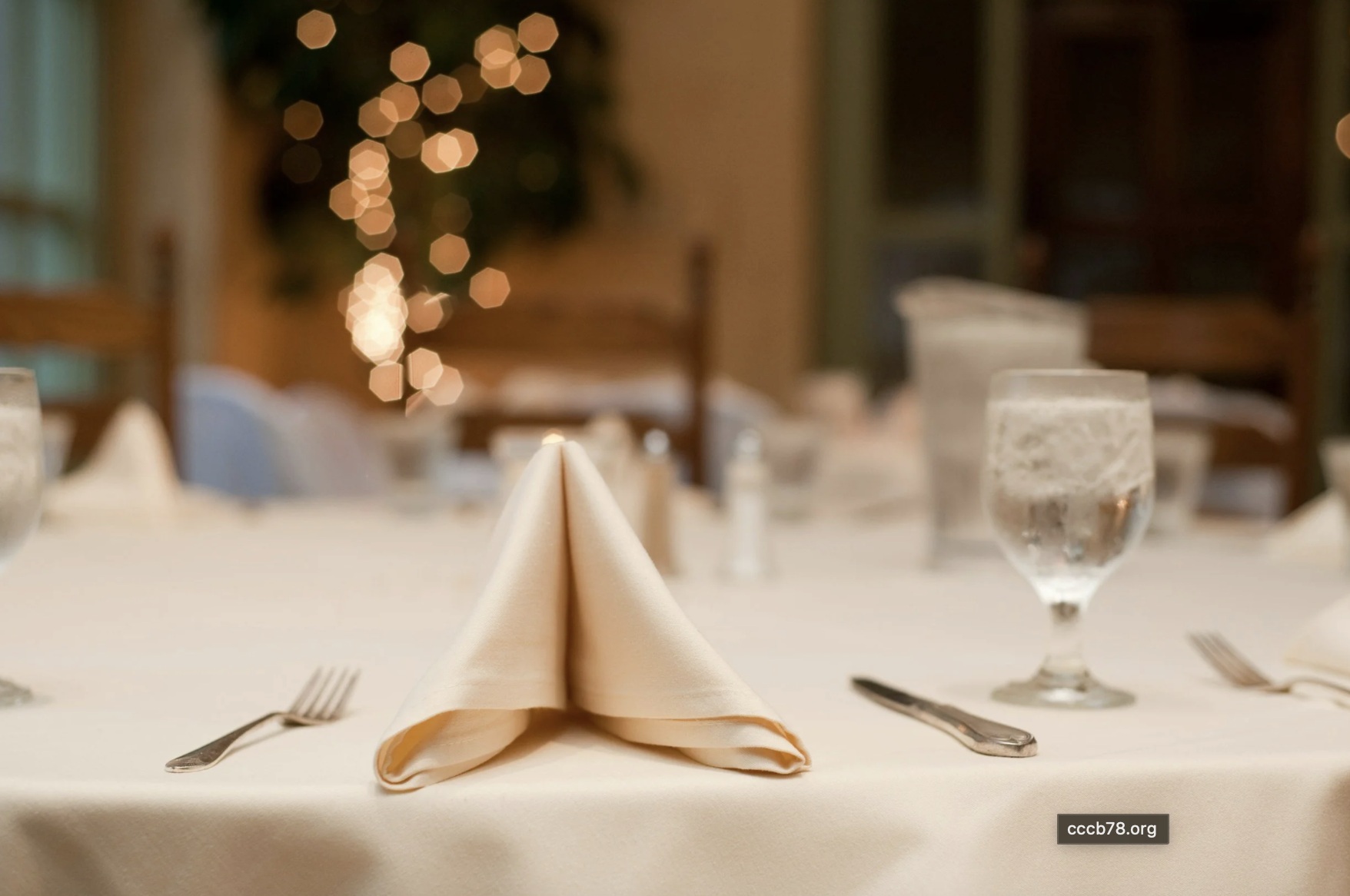 48th Annual "Hold My Hand" Fundraiser