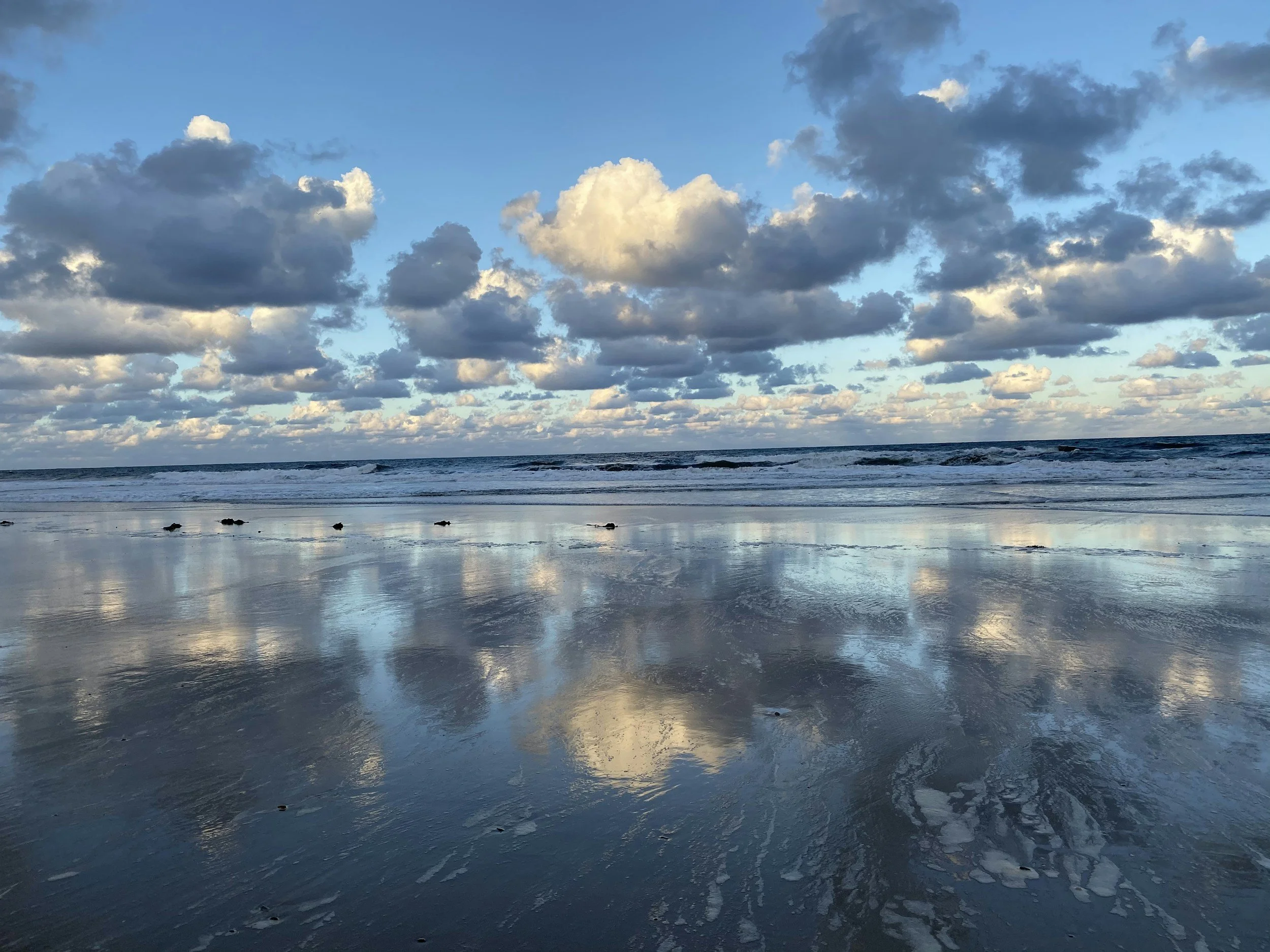 “My Poor Baby” - Reflections on Life, Loss, and Healing