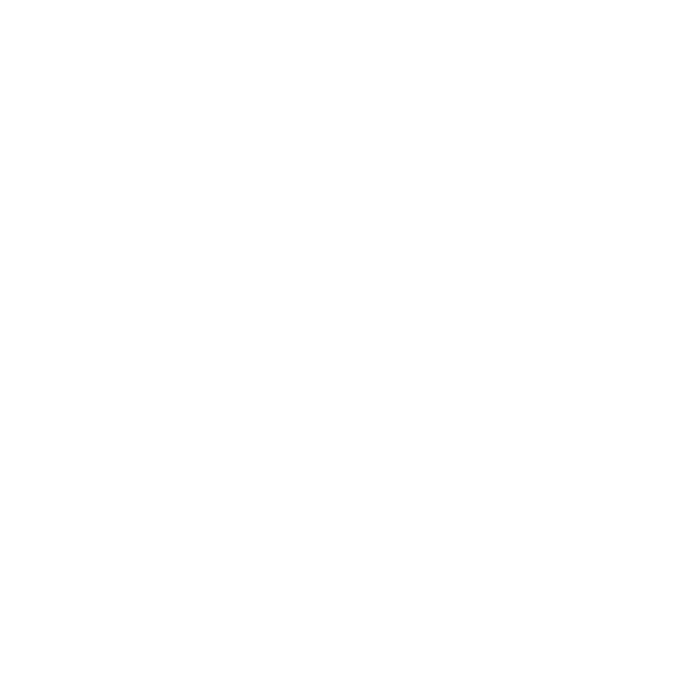 lemaire logo.png