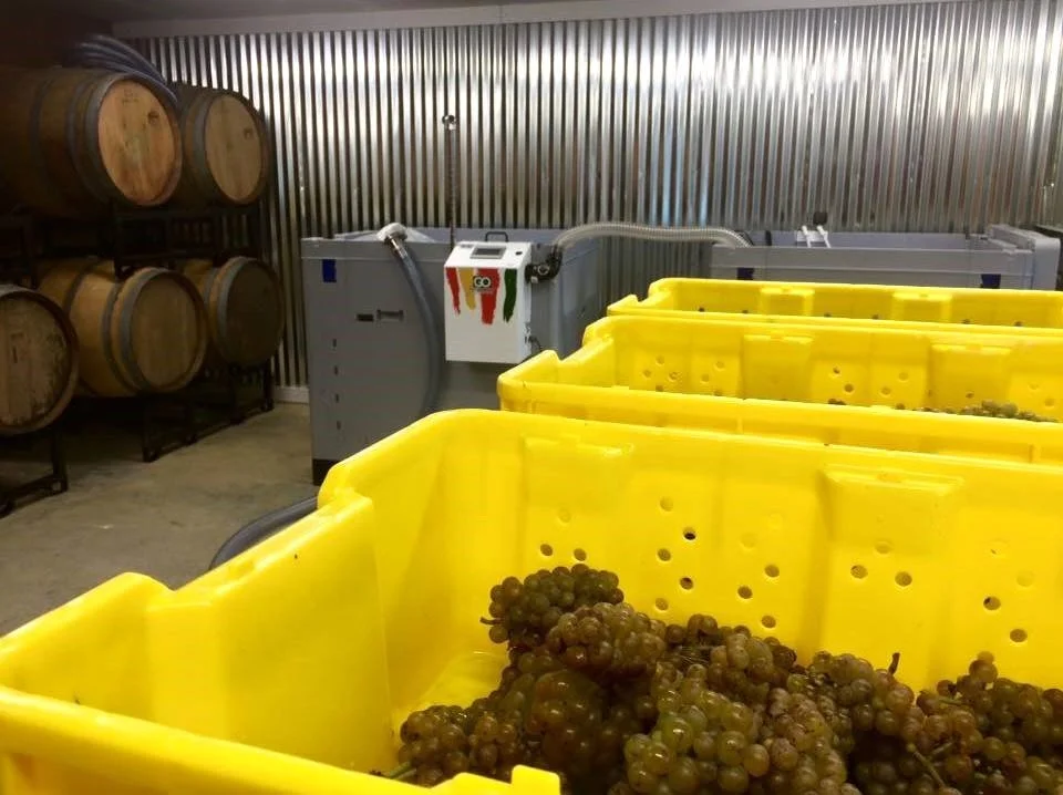 fermentation.jpg