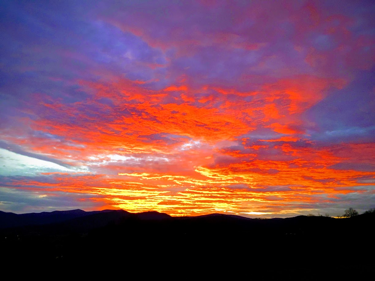 giantsunset.png