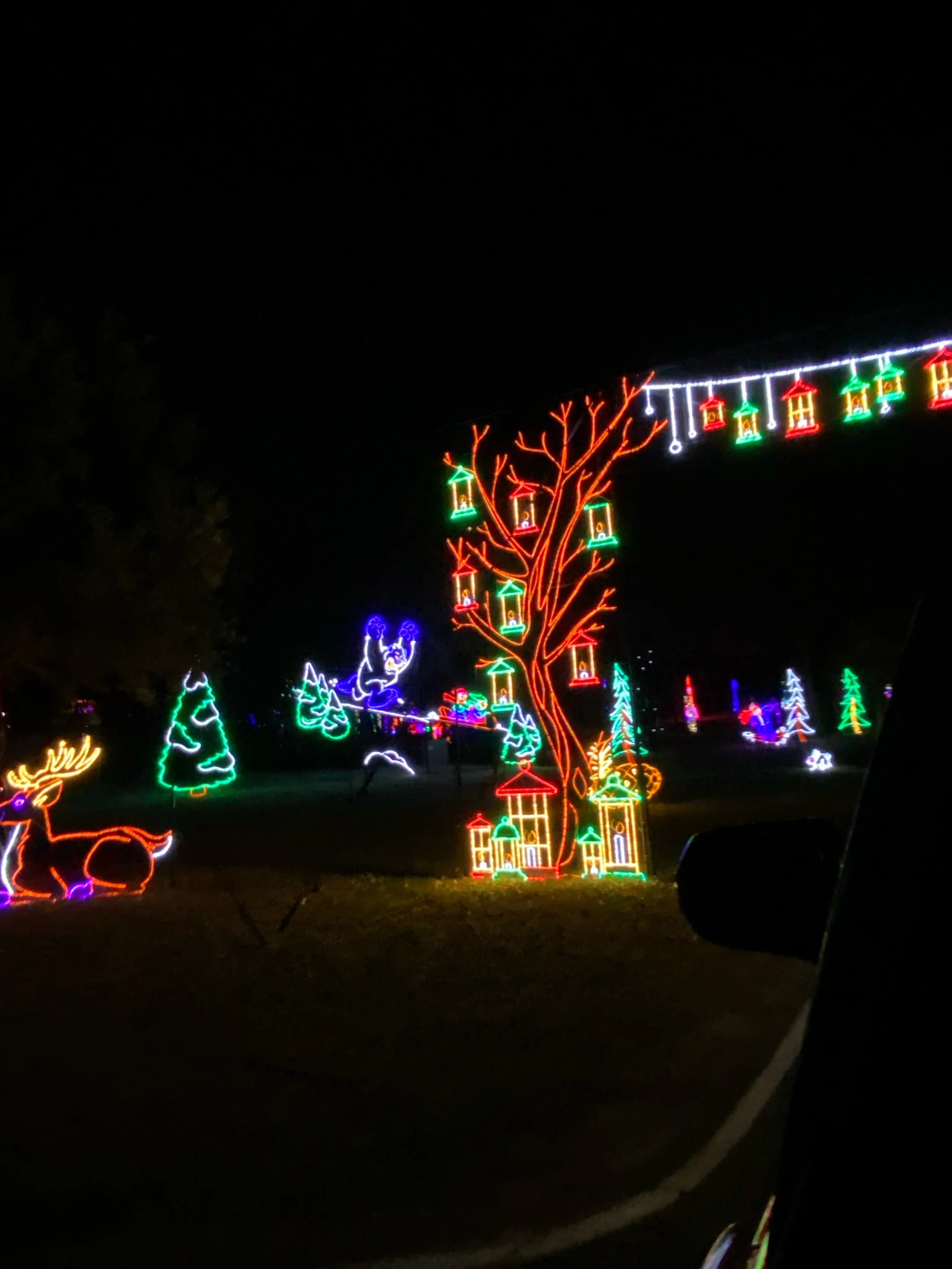 Colorful Christmas light display with illuminated trees, reindeer, and a ghost figure at night.