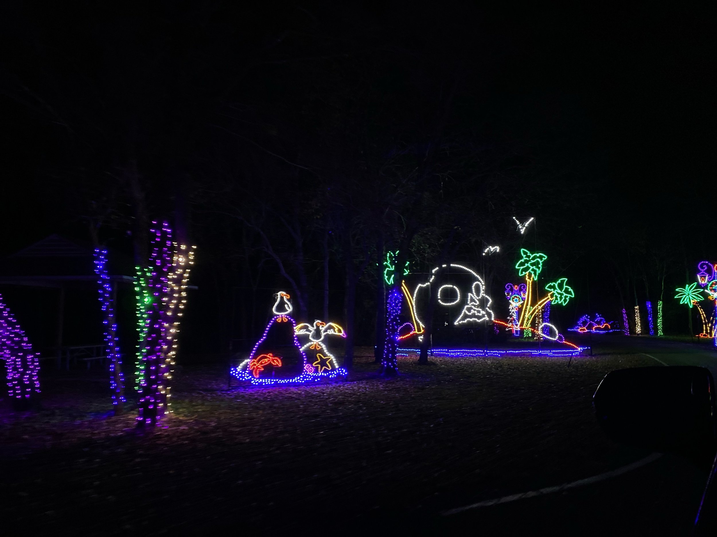Nighttime scene with colorful holiday or festive light display, including reindeer, palm trees, and abstract shapes illuminated in various bright colors at prairie lights.