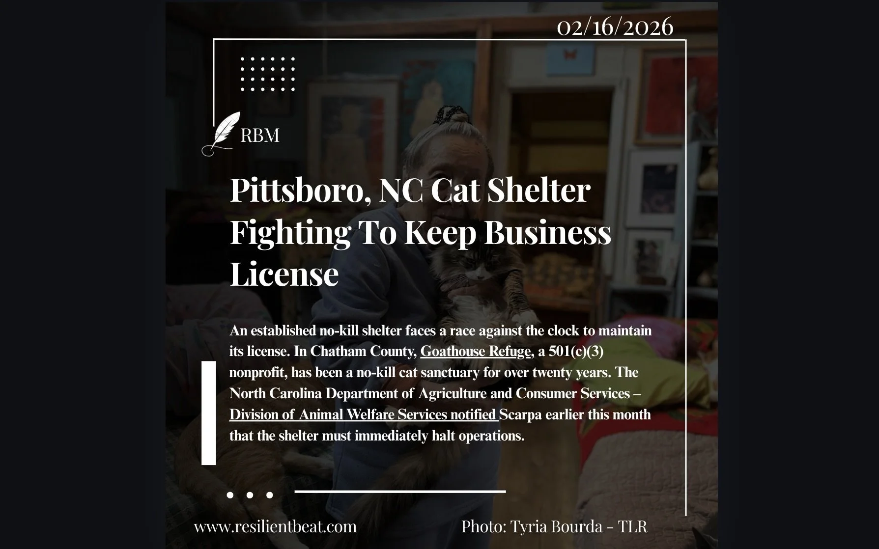 Pittsboro, NC  Cat Shelter Fighting To Keep Business License