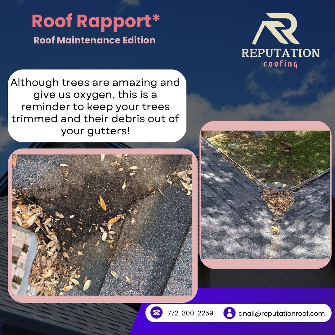 Keep your trees trimmed and gutters clean. Those leaves decompose on your roof. Went out to inspect this client's roof for hail damage (did her roof in September) and we didn't find hail damage but we found maintenance issues. 
Pristine Soft wash &am