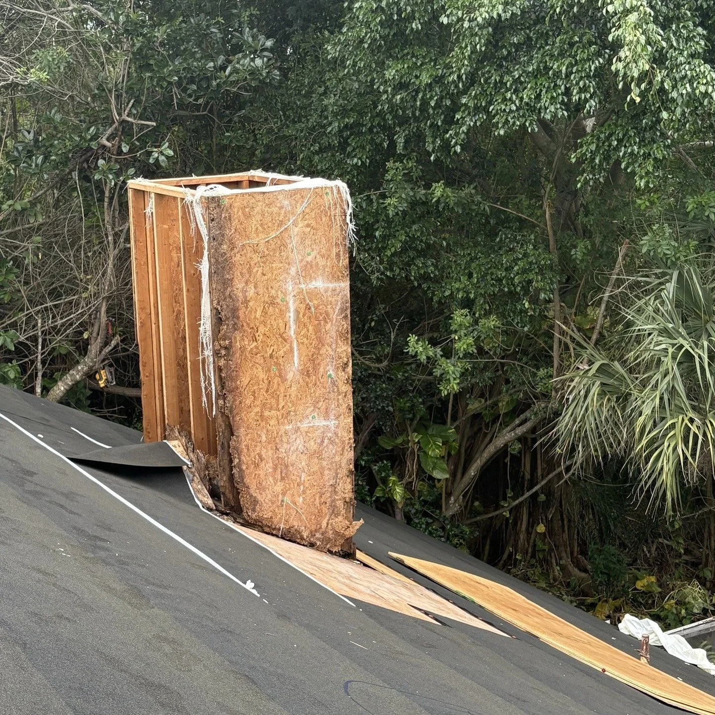Before and after: Roof and Chimney. Do you think Santa will like the result? 😎

#ReputationRoofing #verobeach32963 #SebastianFL #VeroBeachRoofing #VeroBeachFL #FloridaRoofLife #ResidentialRoofing #treasurecoastfl #verobeachflorida #FloridaRoofs #flo