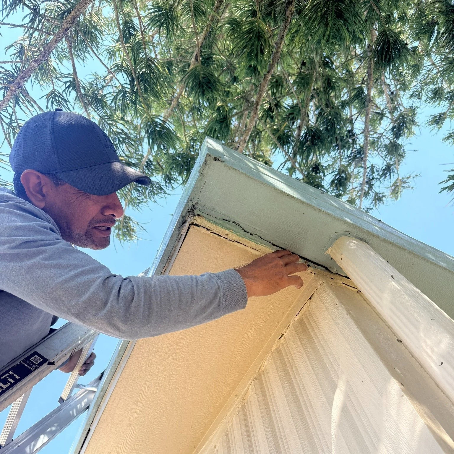 Silvino: Our very own detective just spotted some trouble. Have we mentioned we offer FREE roof inspections? Give us a call, send us an email, a text, or a DM. 

🏠 Reputation Roofing�Woman-Owned. Florida Proud.�
📍 Based in Sebastian, FL�
📞 Call or