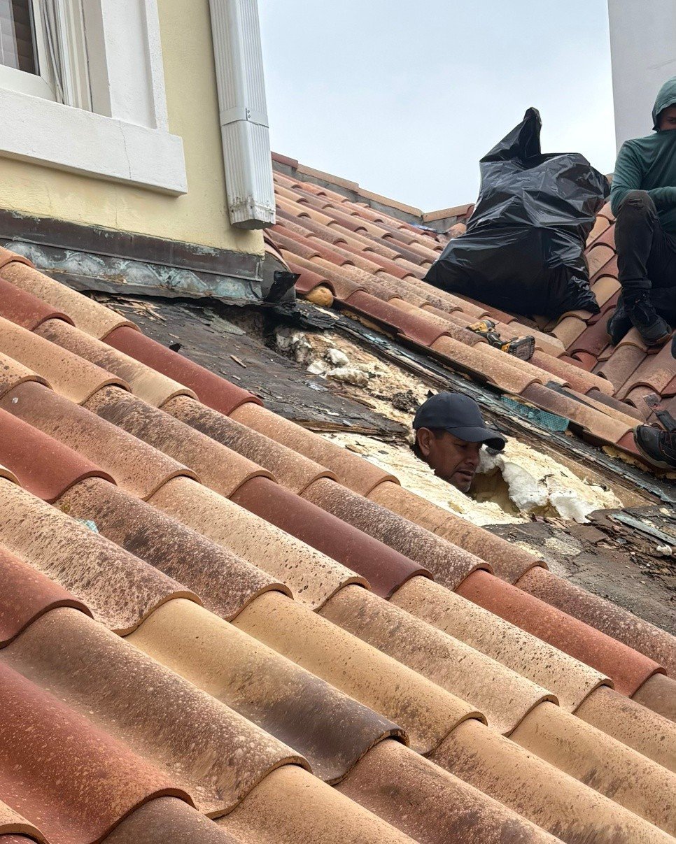 Some people avoid attic spaces&hellip;
Silvino? He goes toward them. 😎
Got a roof mystery? Reputation Roofing has the crew to crack it.

 #ReputationRoofing #verobeachneighborhoodendorsed #verobeachneighborhood #verobeach32963 #SebastianFL #FloridaR