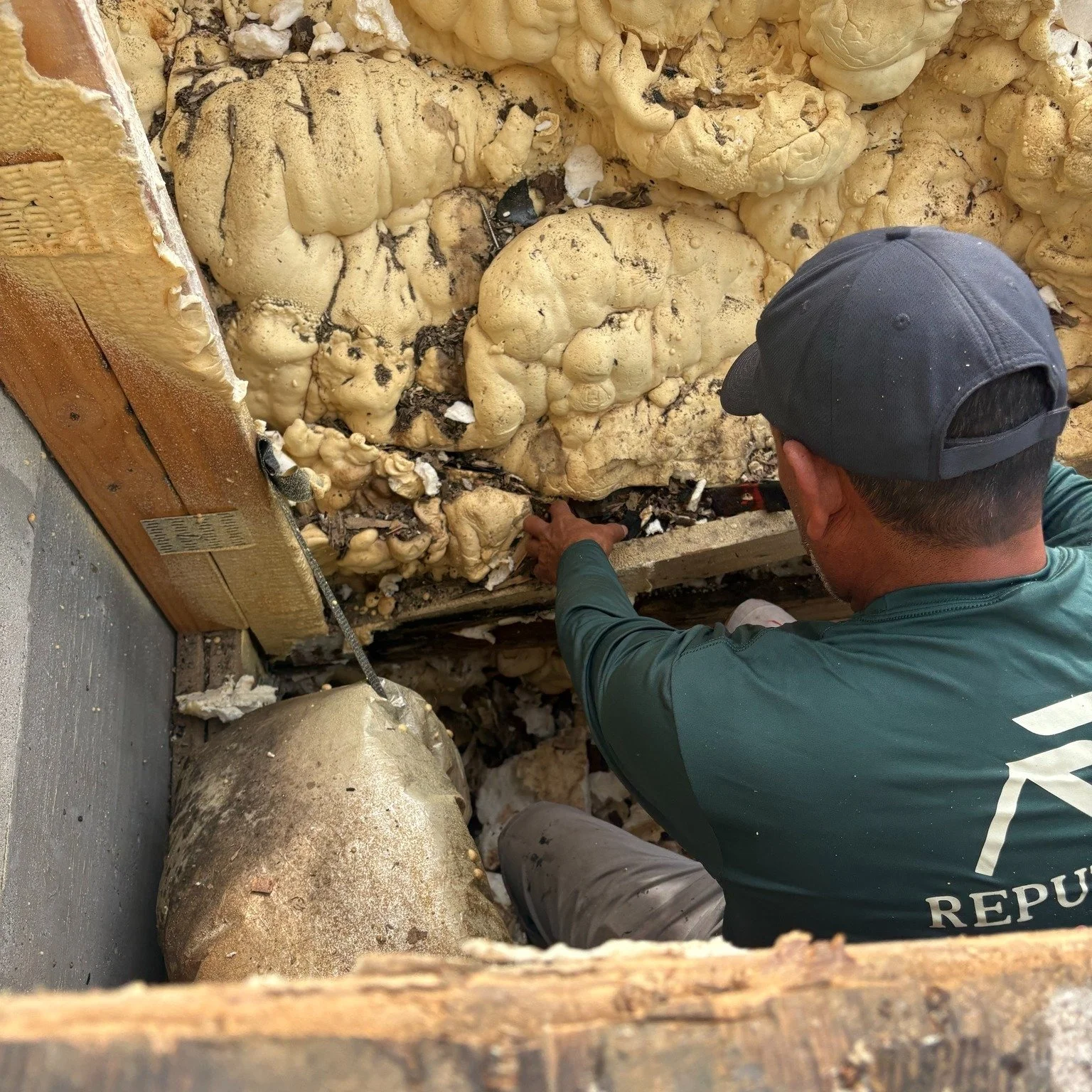 Welp&hellip; not the news anyone wants 😬
We found termites in this roof 🐜
Definitely more than a small fix, but we&rsquo;re on it &mdash; and getting it handled the right way.

Call us to get a roof inspection - Let's try to beat a big disaster. 
7