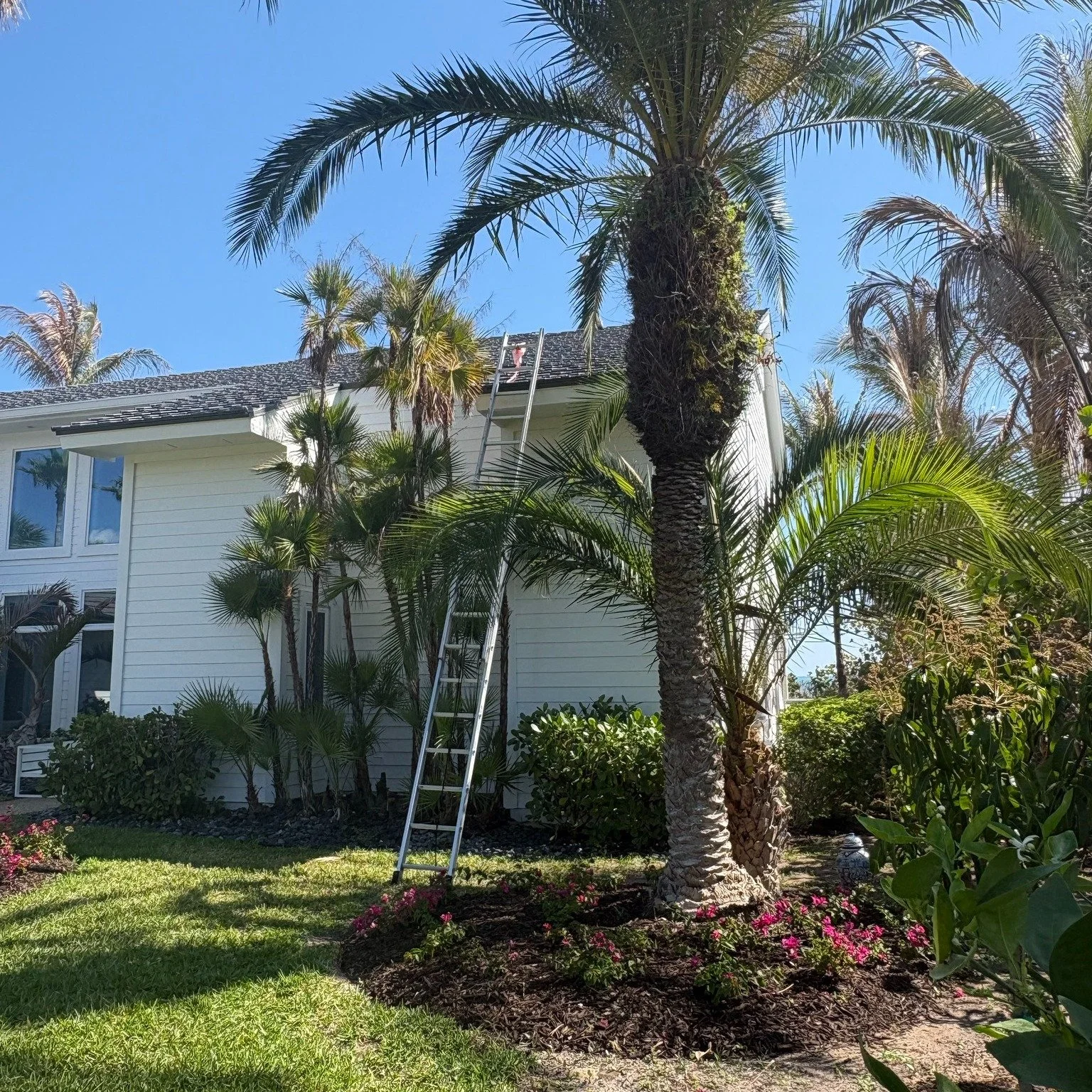 Let The Game Begin! Like &amp; post a GIF in the Comments when you find Pablo!
Que Comienze El Juego! Dale like y comenta con un GIF cuando encuentres a Pablo!

#WhereIsPablo #FindPablo #ReputationRoofing #verobeach32963 #SebastianFL #verobeachneighb