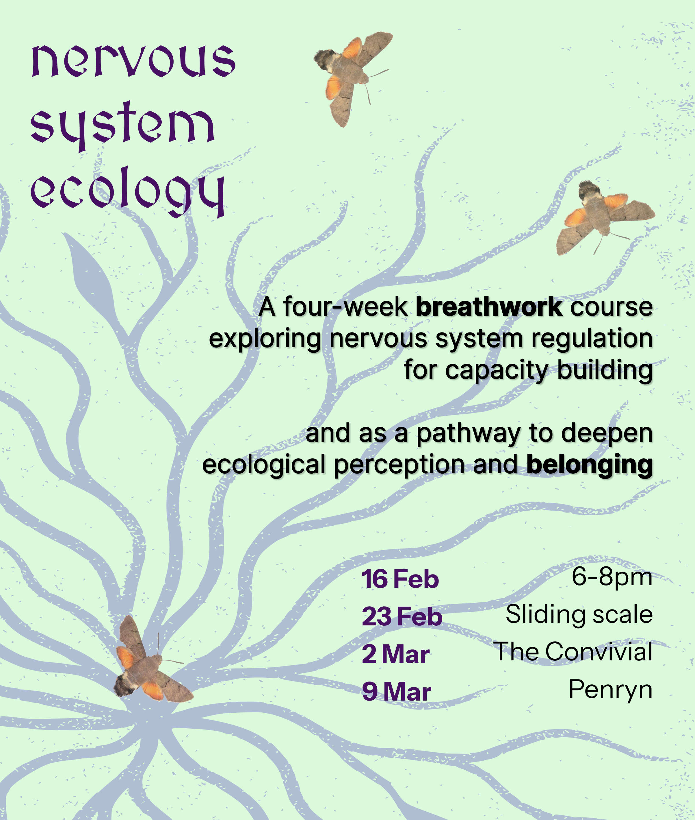 Nervous system ecology: A 4-week breathwork course