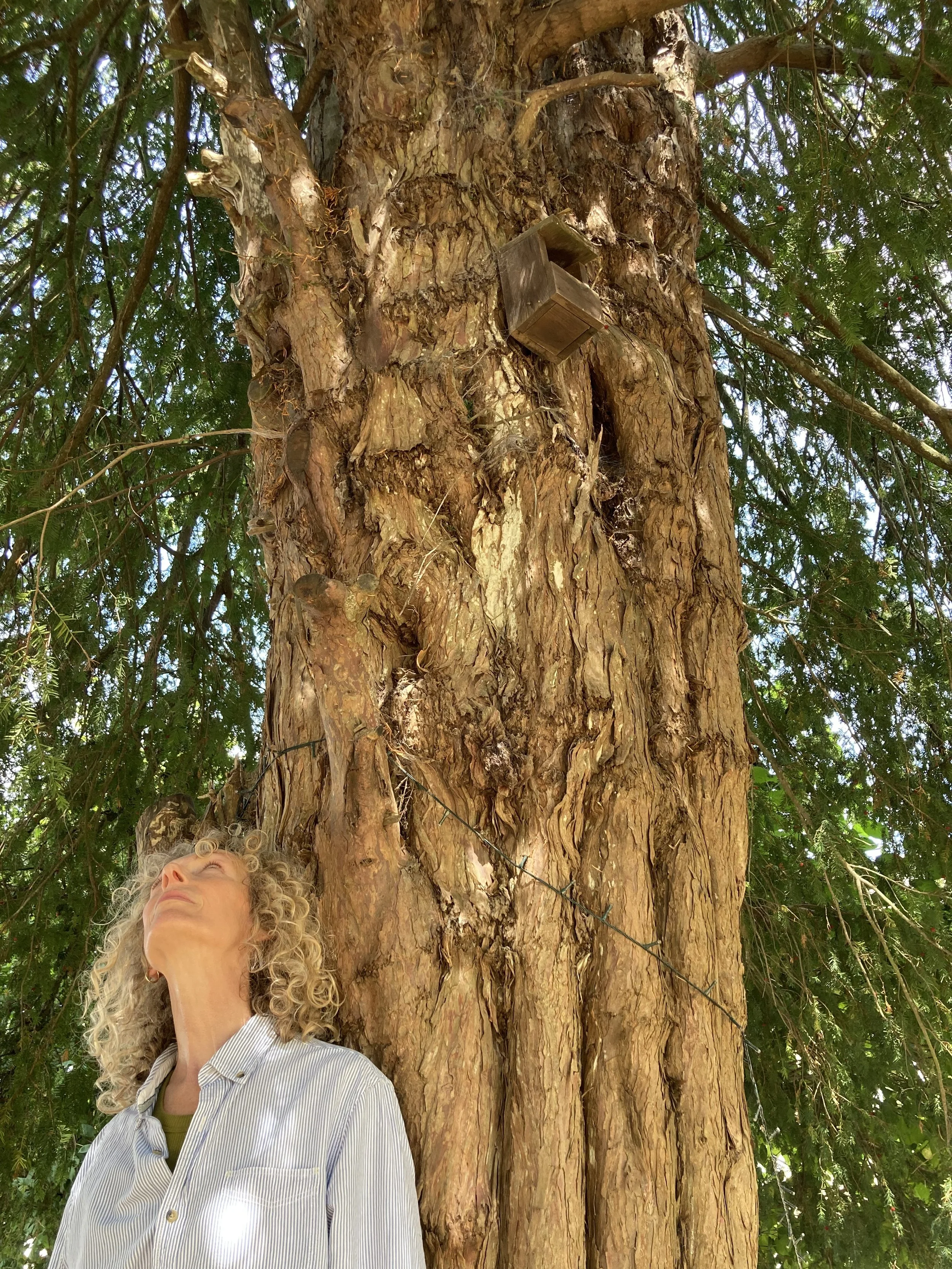 Workshop: Moving grief