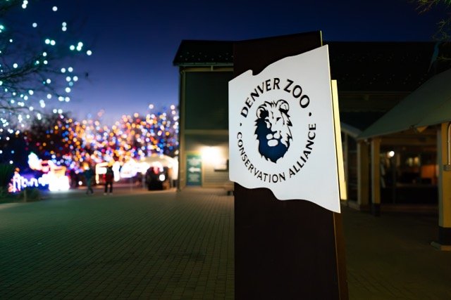 DSC07199 Medium.jpeg