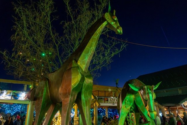 DSC07244 Medium.jpeg