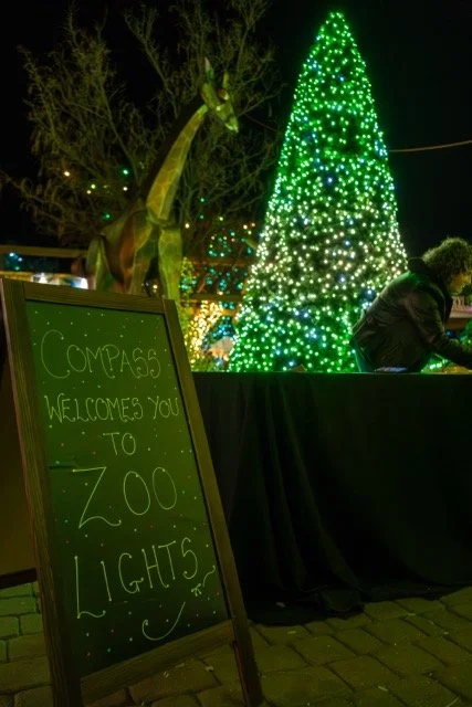 DSC07441 Medium.jpeg