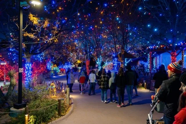 DSC07254 Medium.jpeg