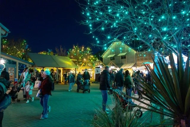 DSC07227 Medium.jpeg