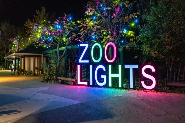 DSC07363 Medium.jpeg