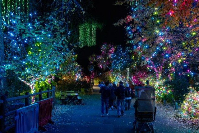 DSC07360 Medium.jpeg