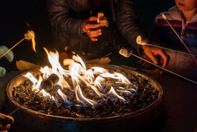 DSC07273 Medium.jpeg