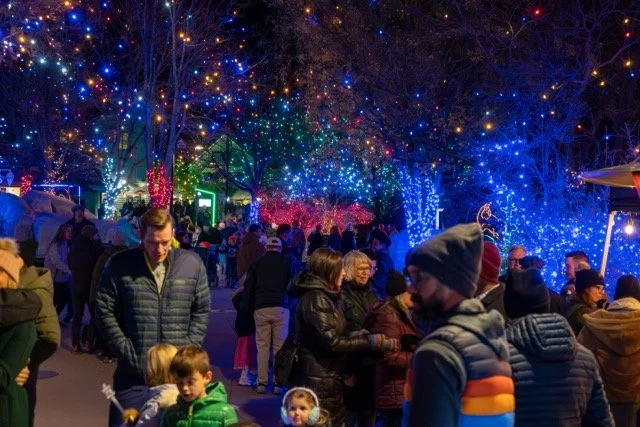 DSC07412 Medium.jpeg