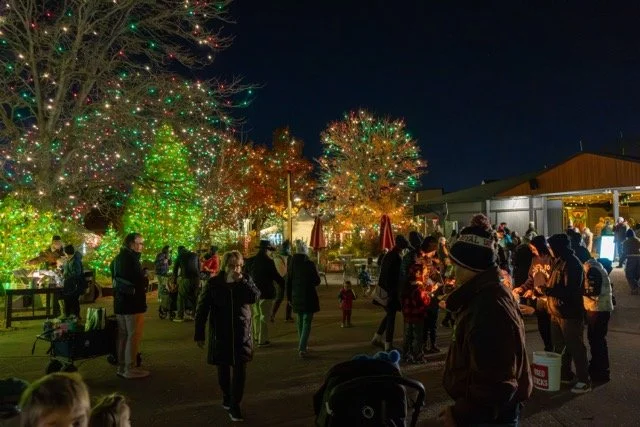 DSC07294 Medium.jpeg