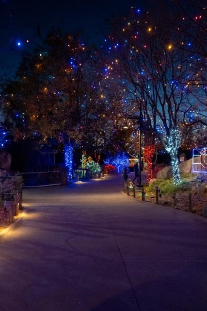 DSC07203 Medium.jpeg