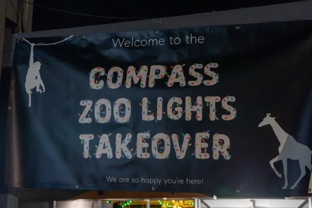 DSC07408 Medium.jpeg