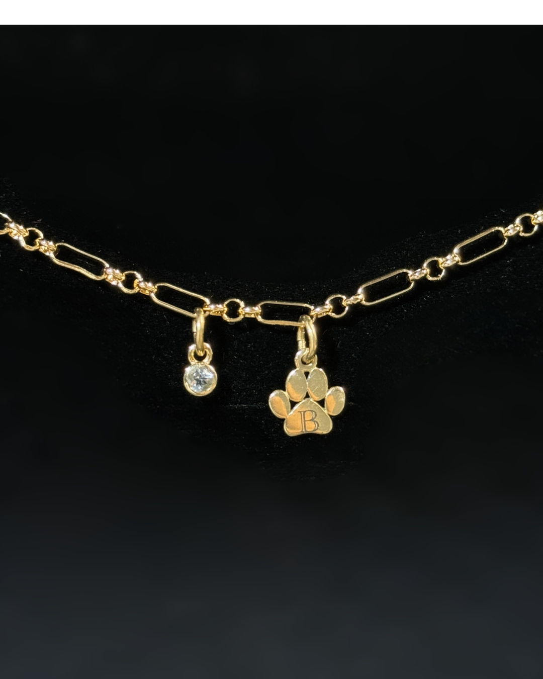 Untitled design-25.png