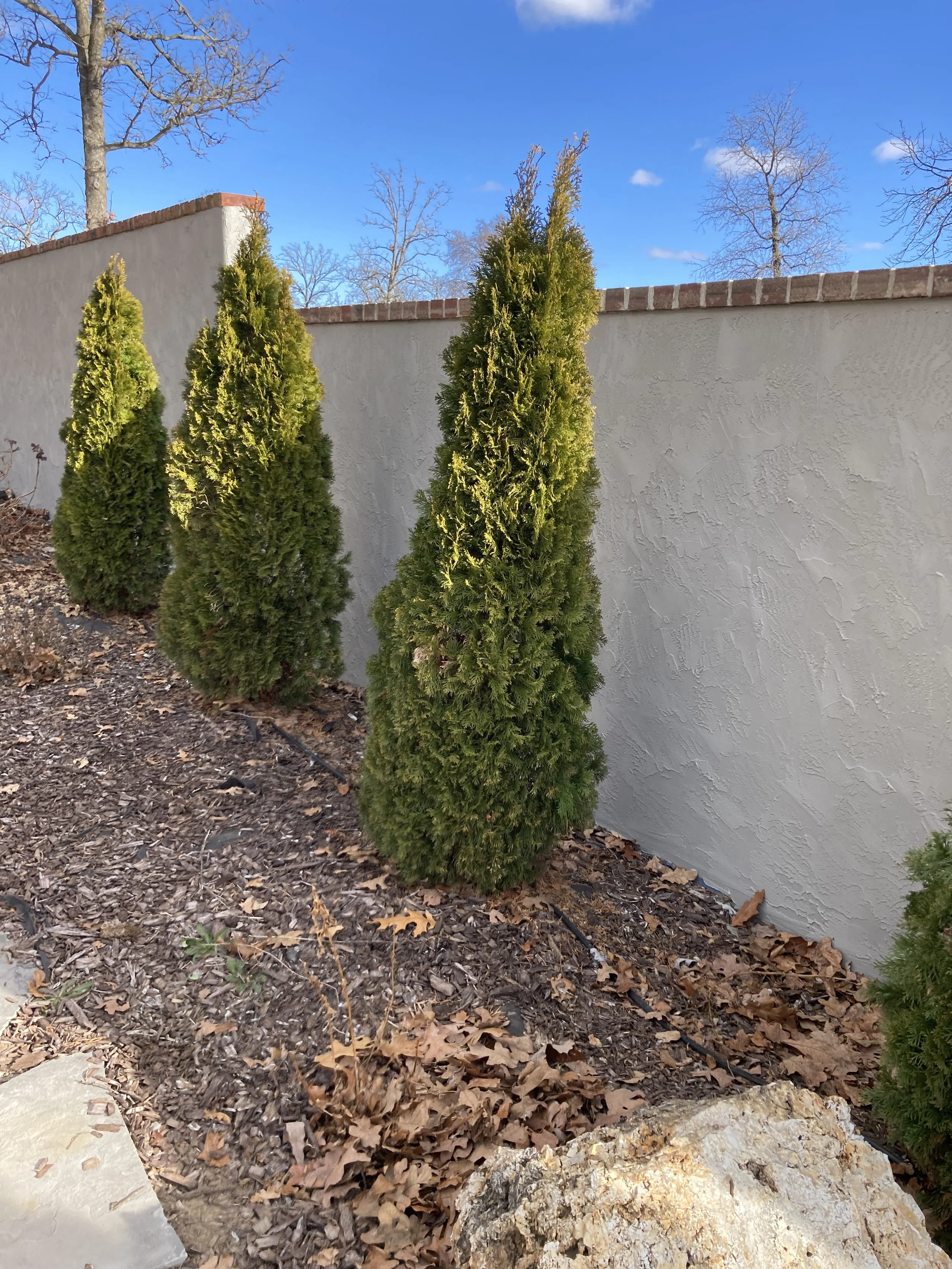 CMU Privacy Wall - After