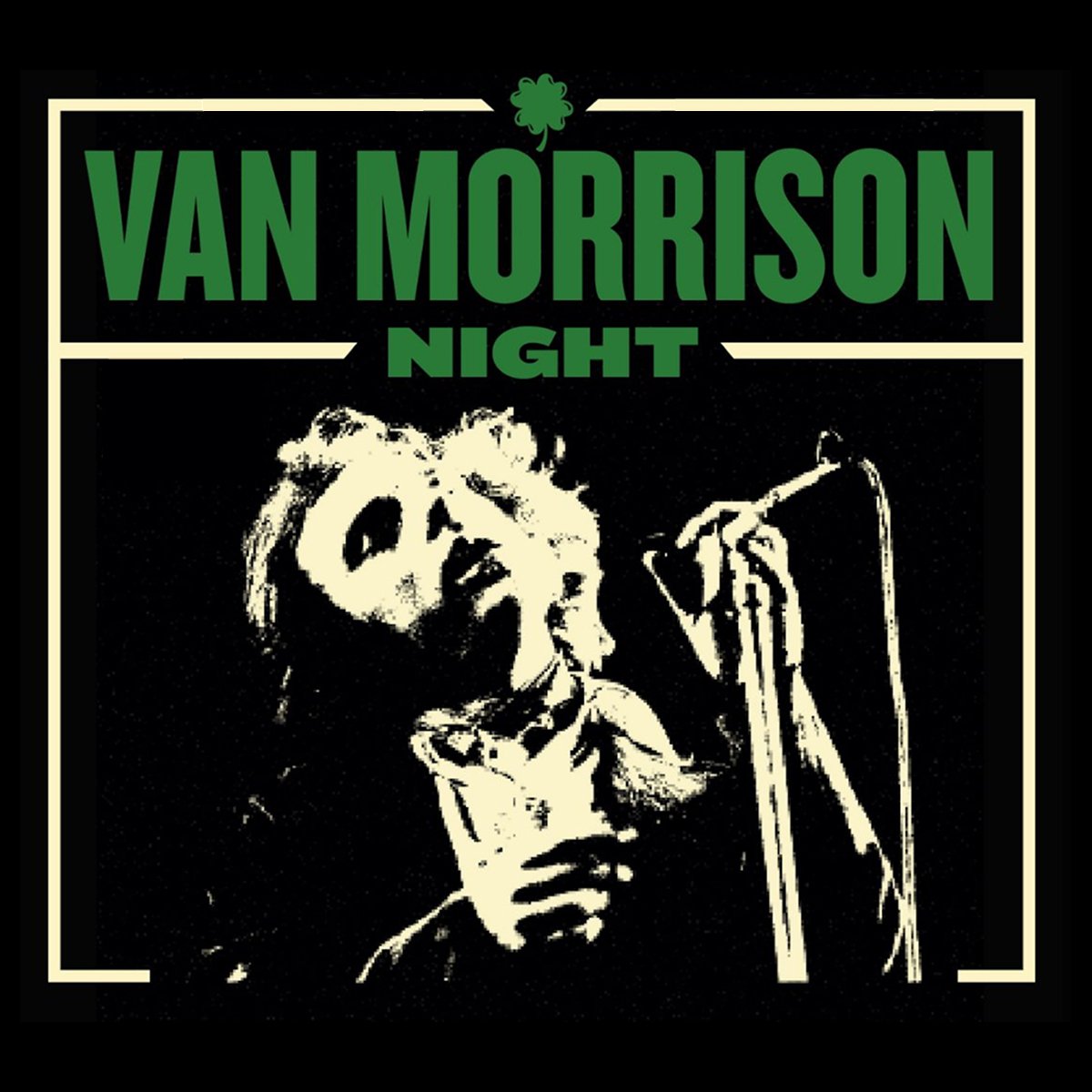 Van Morrison Night Tribute Band