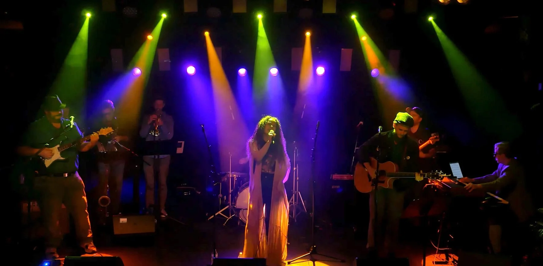 Van Morrison Night Tribute Band-singer.jpg