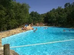 Personas disfrutando en una piscina al aire libre rodeada de árboles en un día soleado.