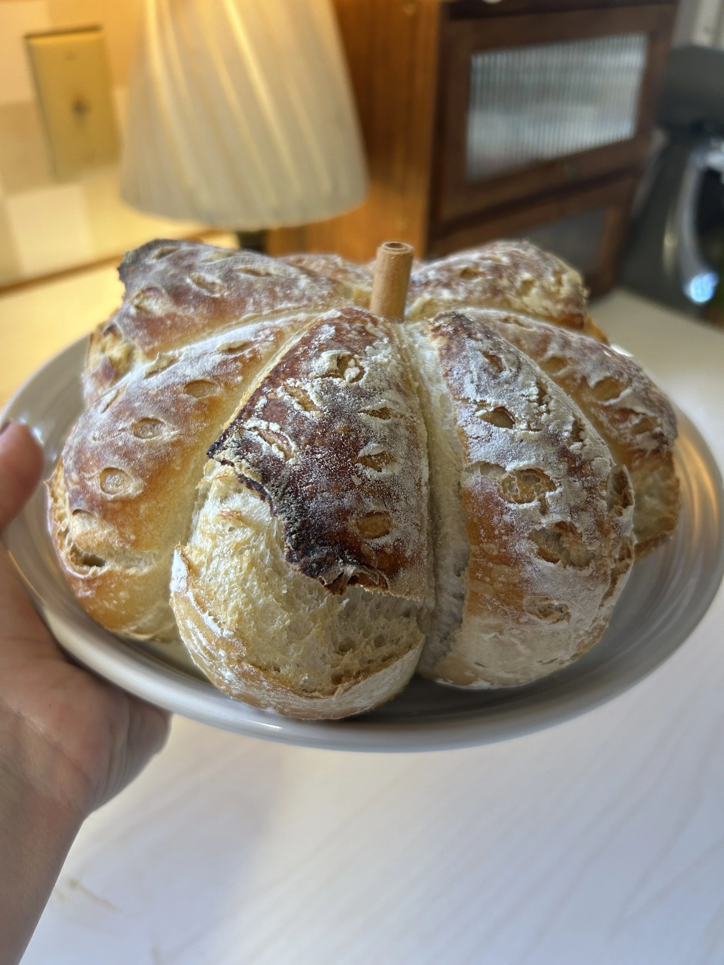 IMG_2205 (1).jpeg