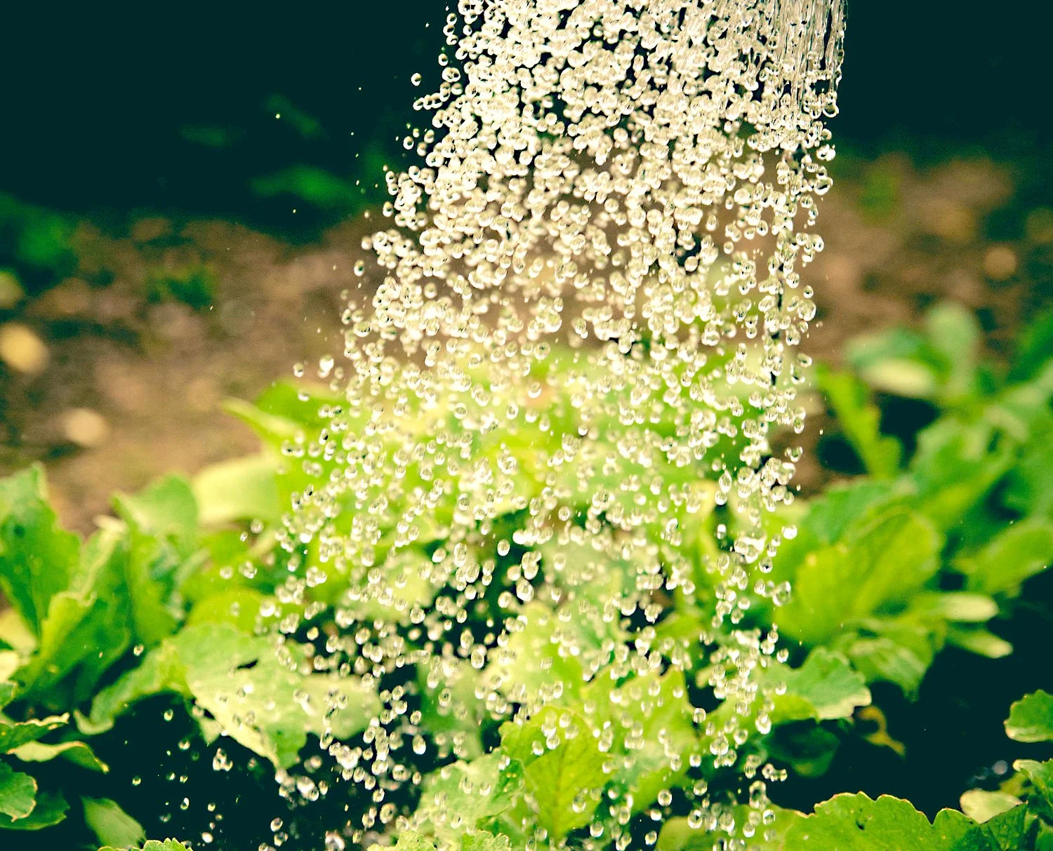 Friday Night Clay: Watering Bell