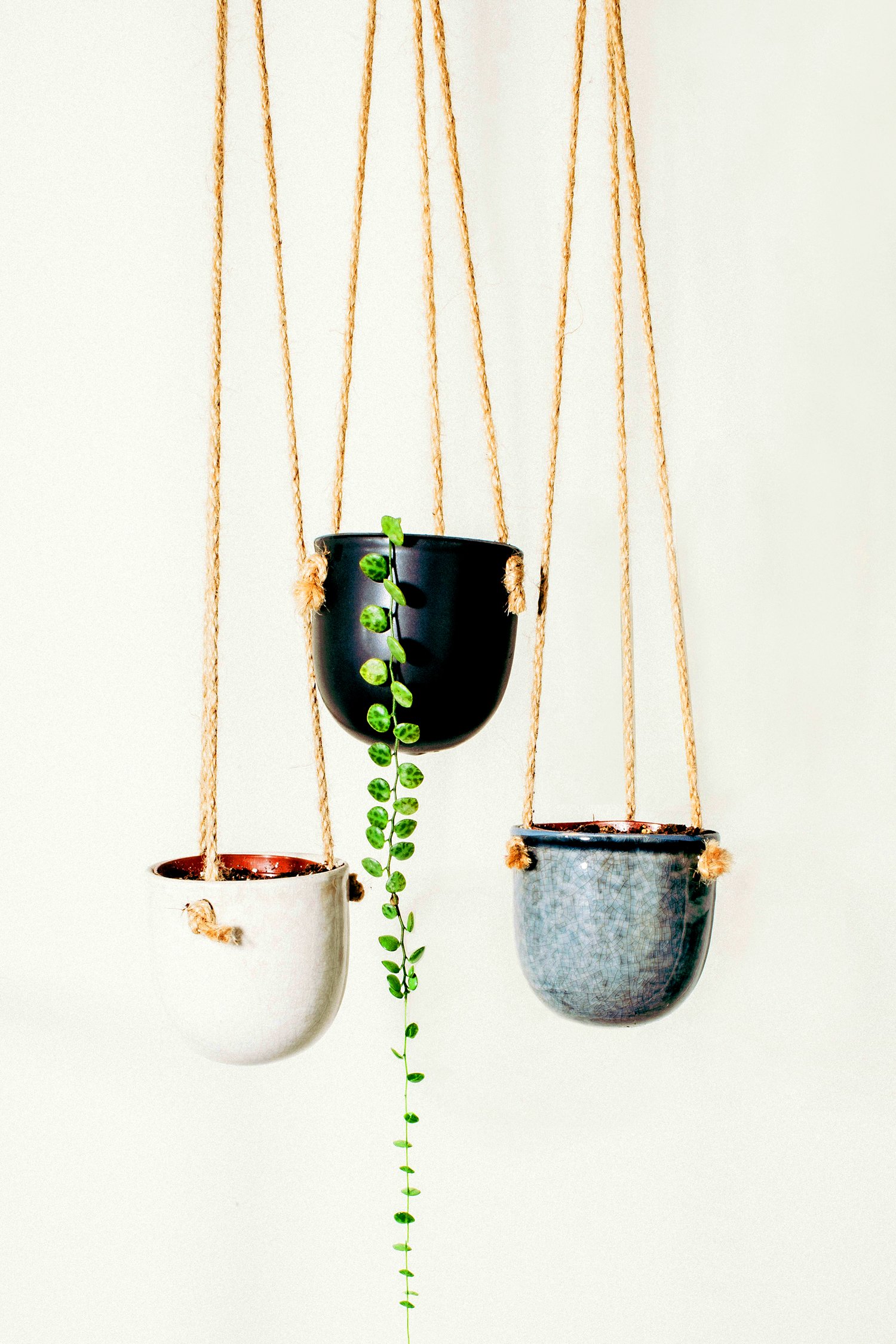 Friday Night Clay: Hanging Planters