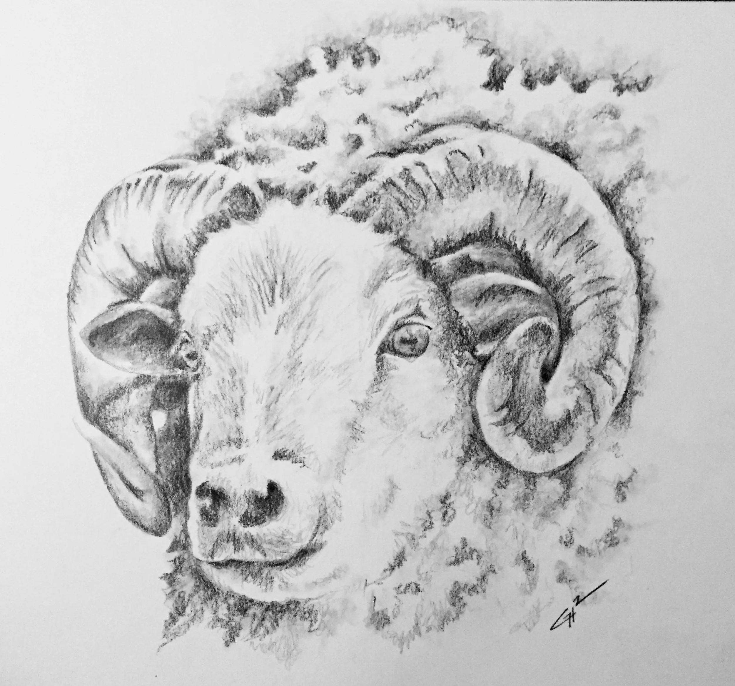 Intro to Drawing I: The Foundation of Graphite &amp; Charcoal