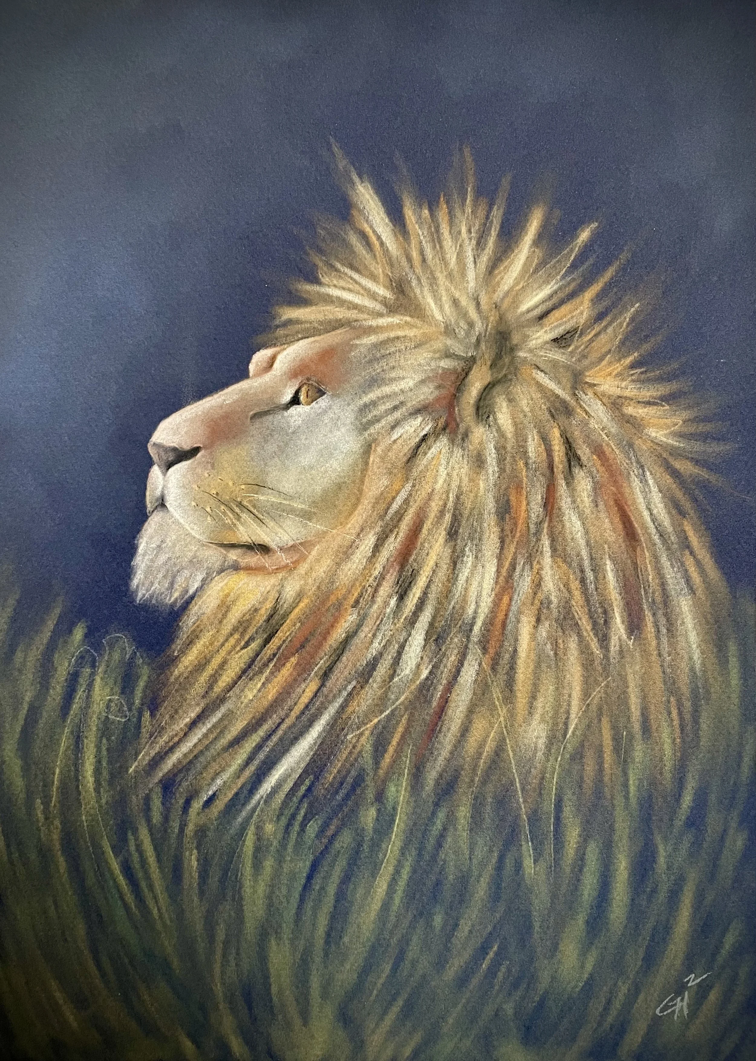 Introduction to Panpastels: Wildlife Painting 