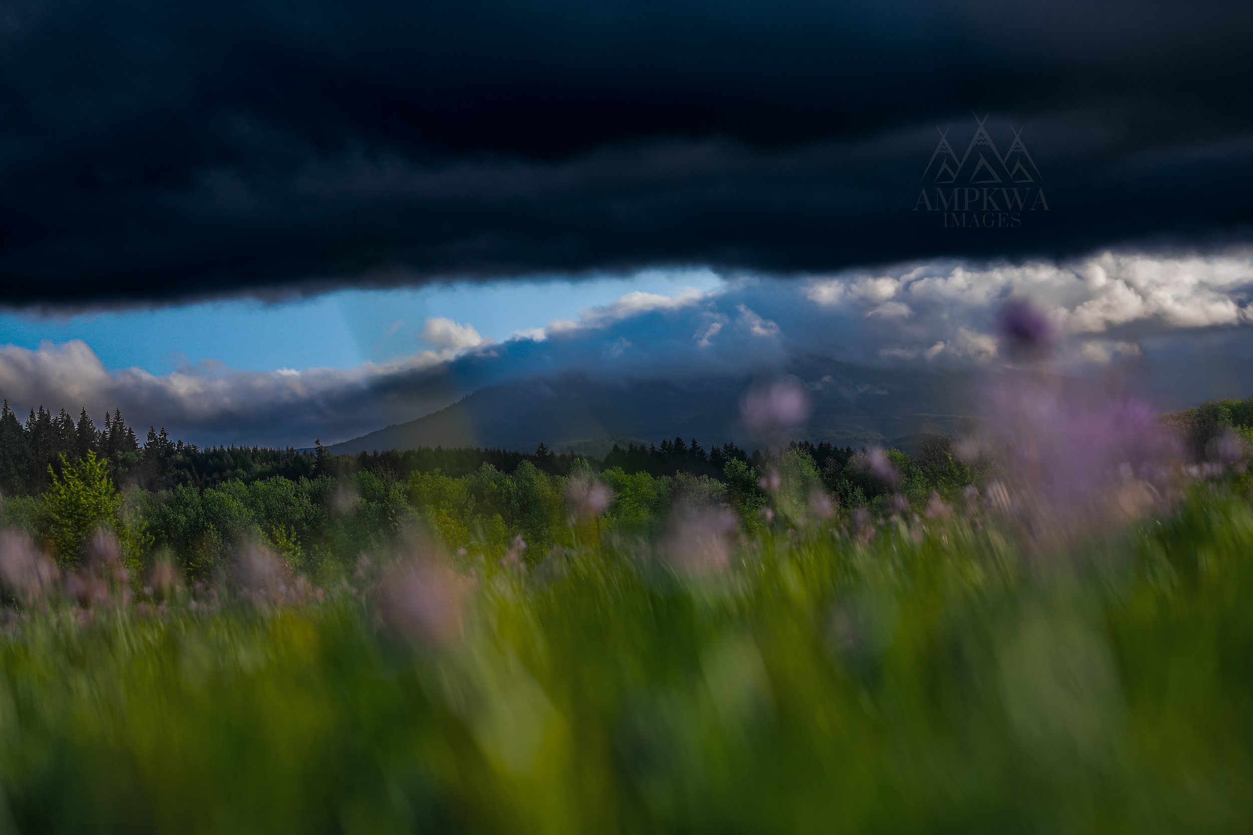 Storm Over the Valley Canvas Print