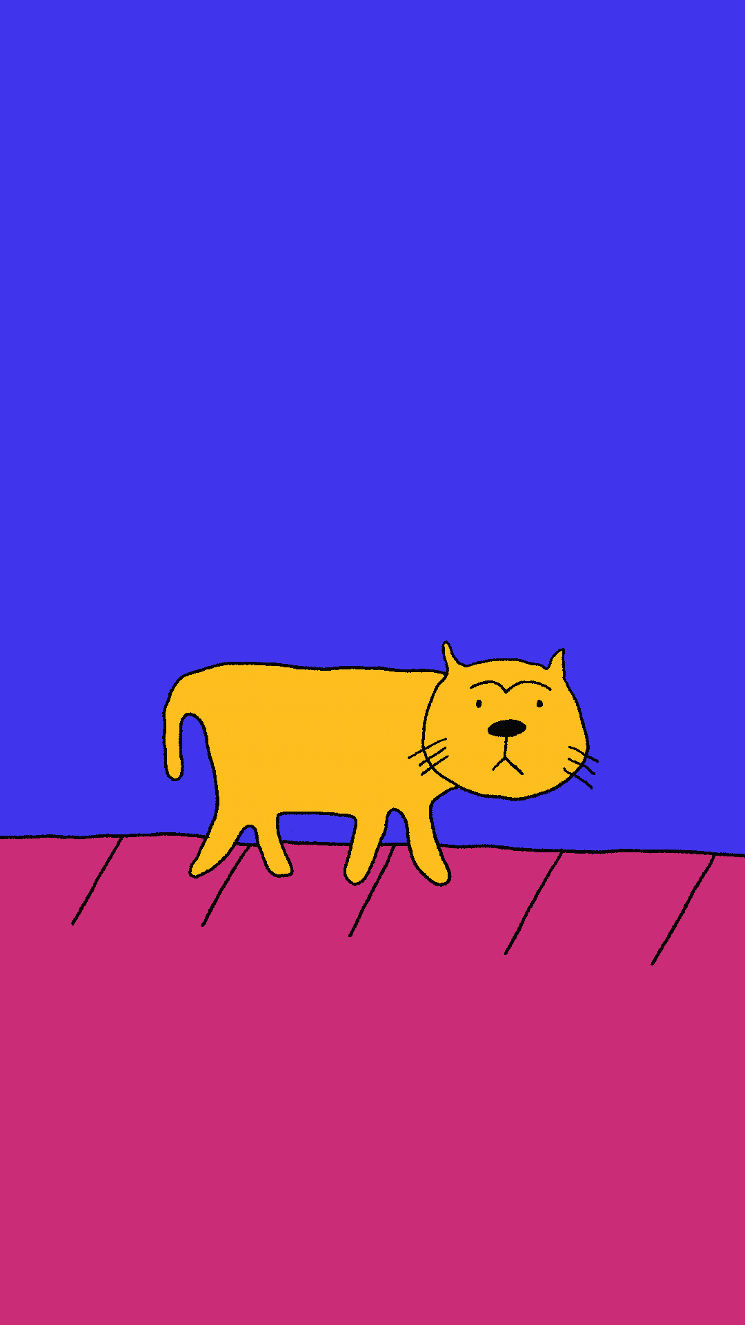 Cat Car_GIF Animation.gif