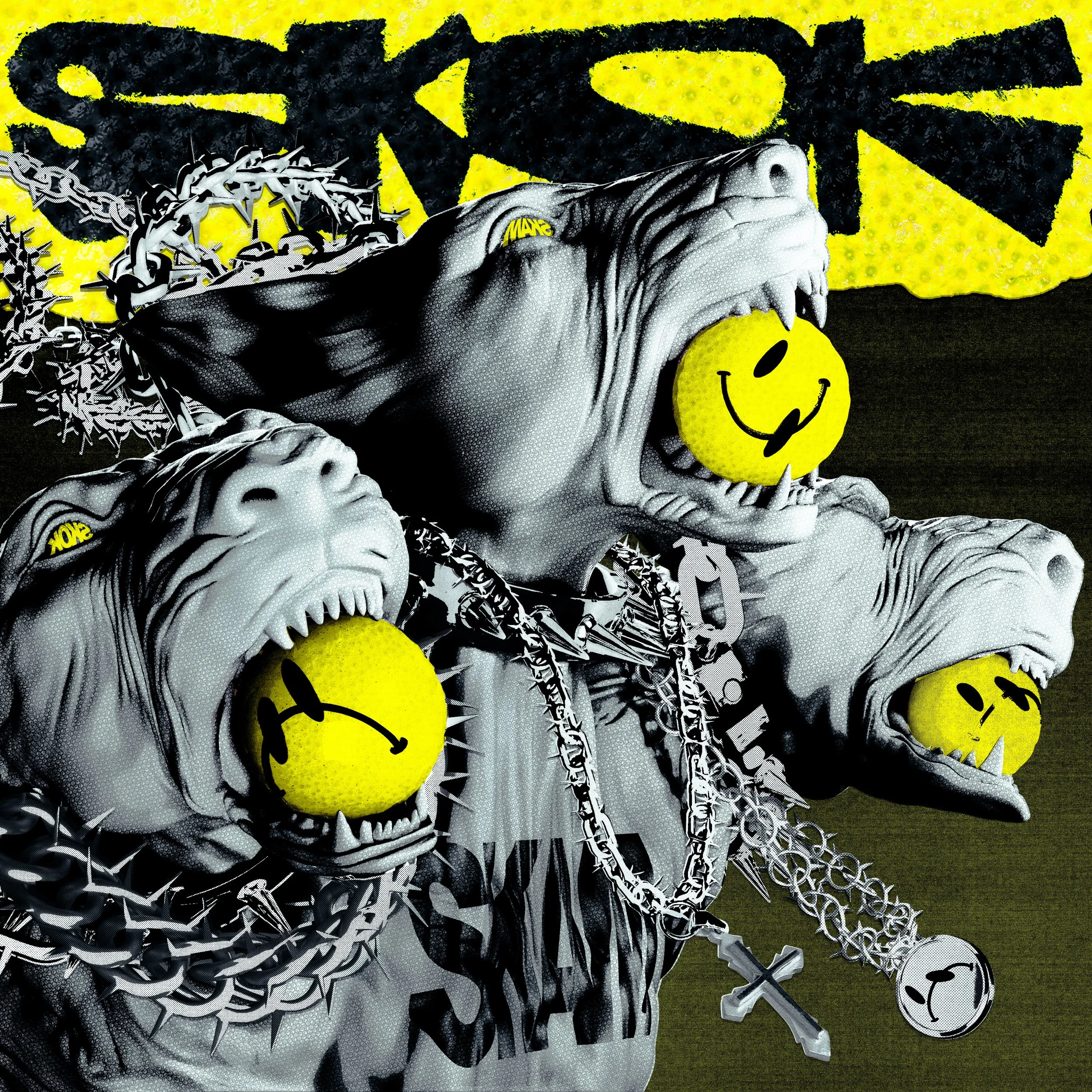 COVER_SKOK_DELUXE_CHROME_.jpg