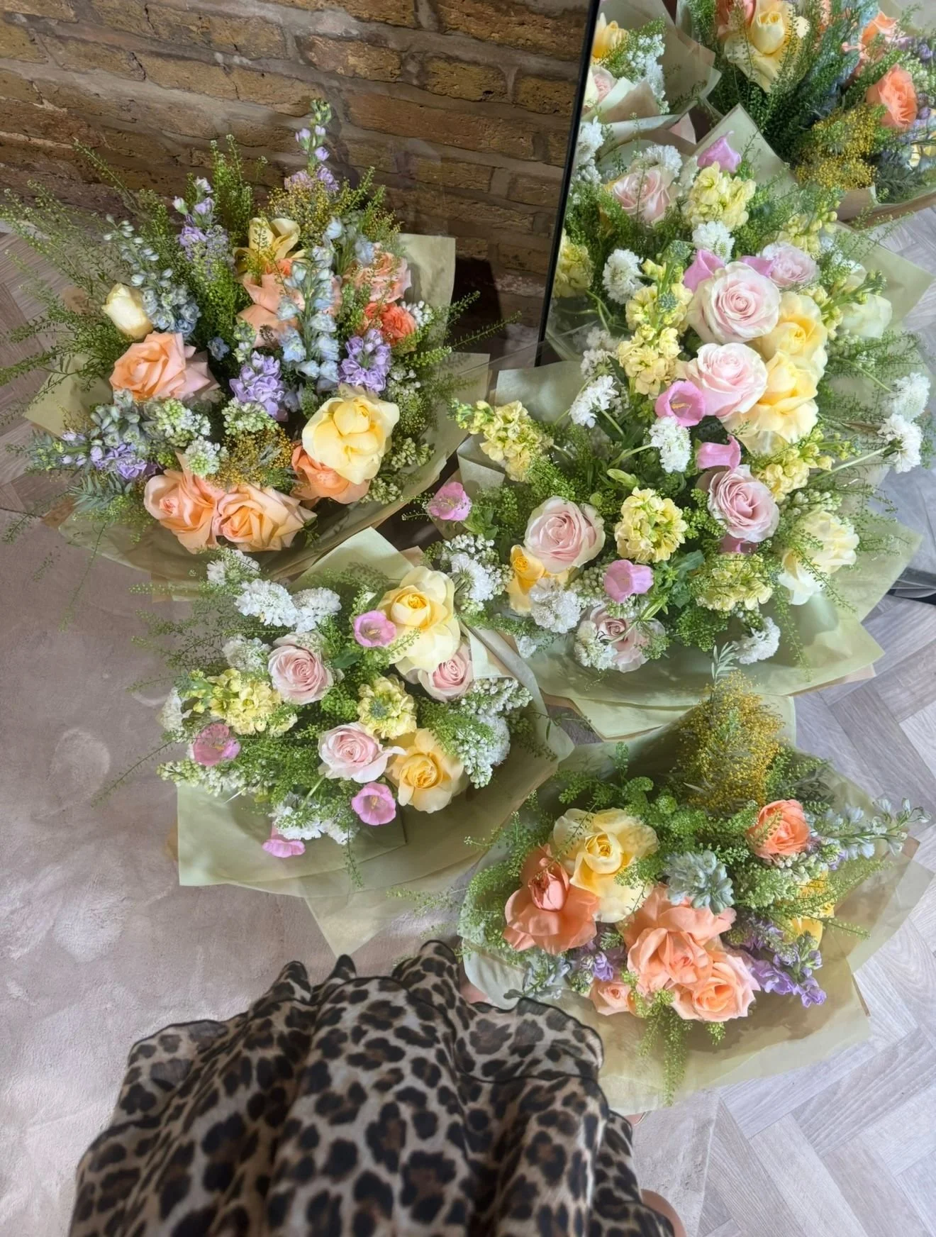 Apolo Herts photo shoot 2.JPG