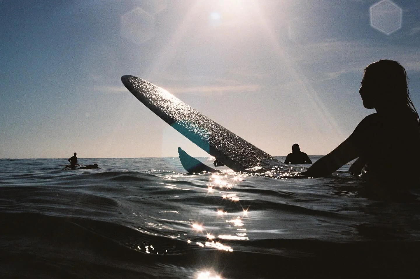 earthing out all the time and just thinking about the trees 

Most photos by me and @sydney.hone 📸🎞️