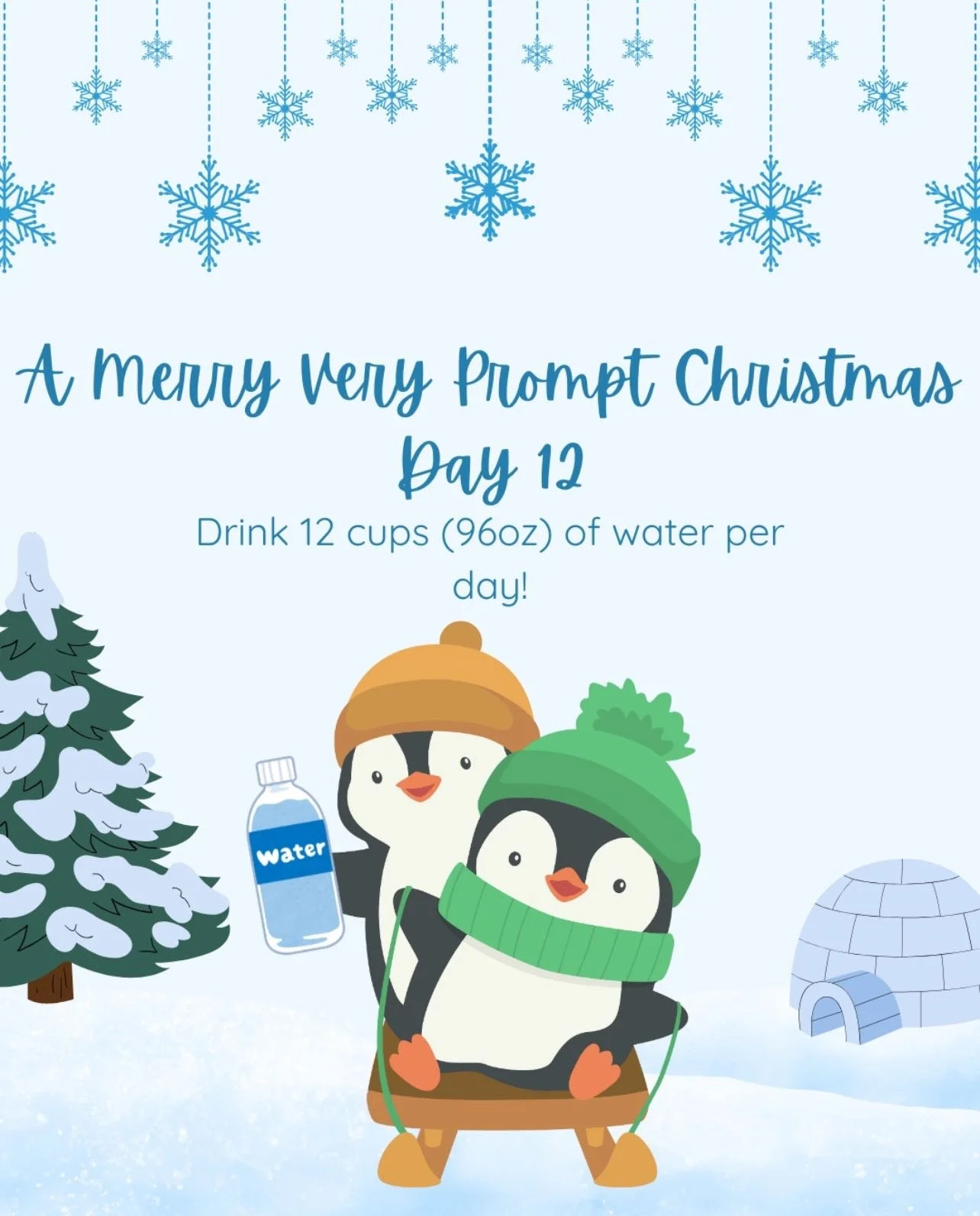 🎄 Day 12: Water 🎄 It&rsquo;s easy to forget to drink water with the holiday busyness and fun seasonal drinks, but drinking water is more important than ever for hydration, recovery, energy while you&rsquo;re out and about celebrating. Make sure are