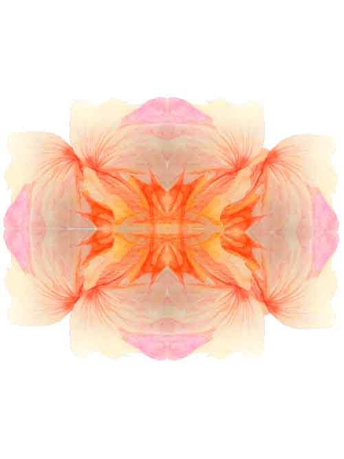 pencil sketch smallest colorway9.jpg
