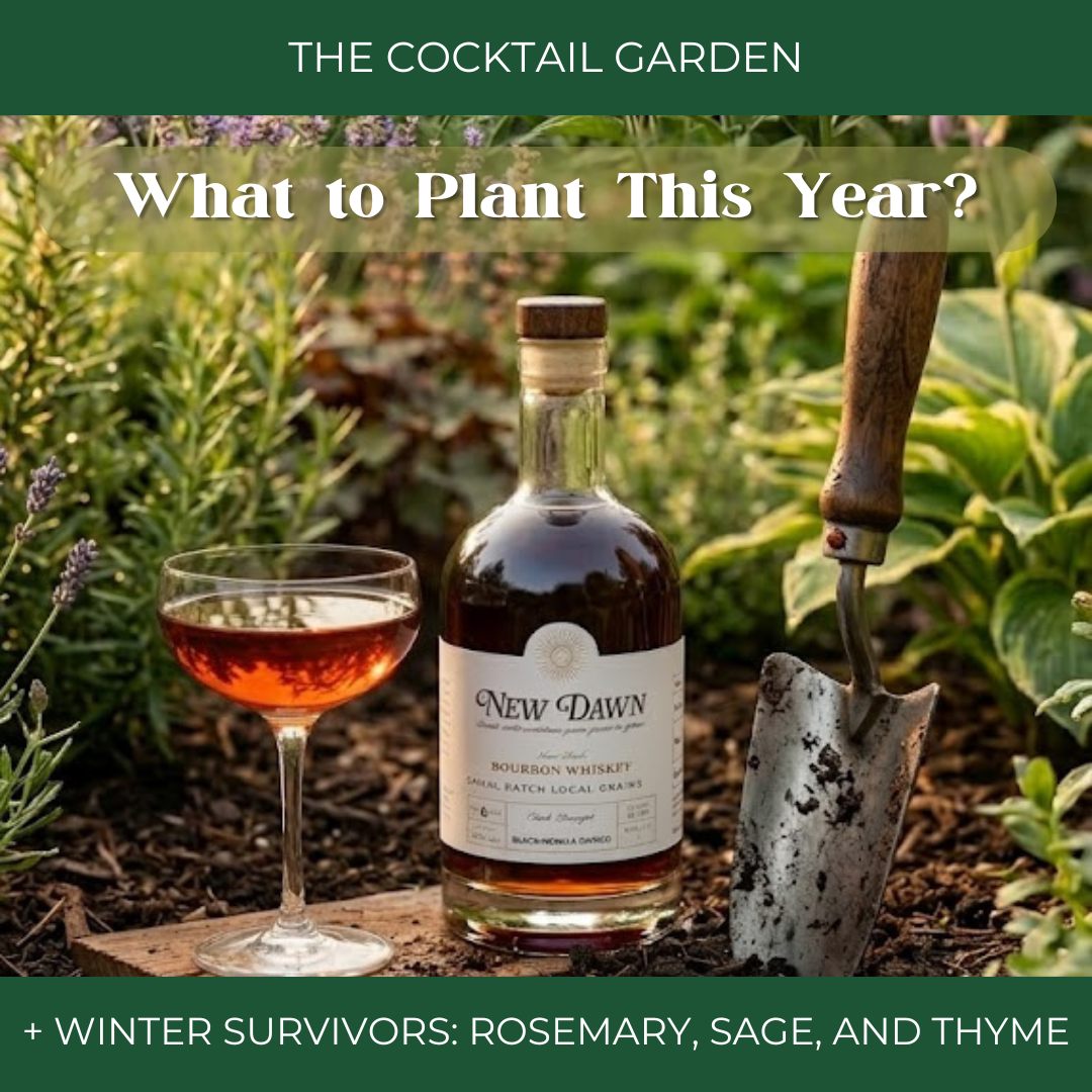 Gardening for Cocktails: Winter Survivors