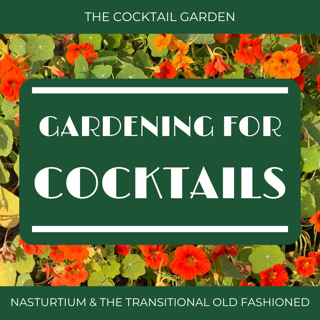 Gardening for Cocktails: Nasturtium 