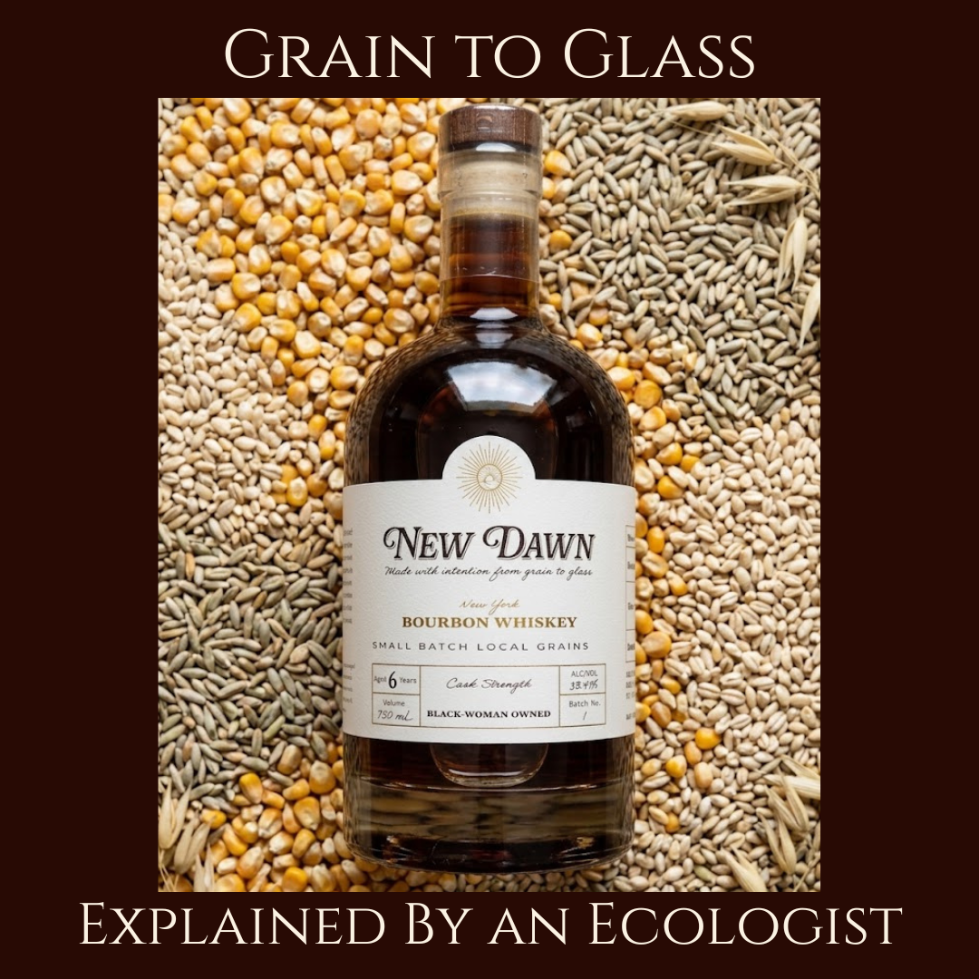 Grain to Glass: What Really Happens Between the Field and Your Bourbon