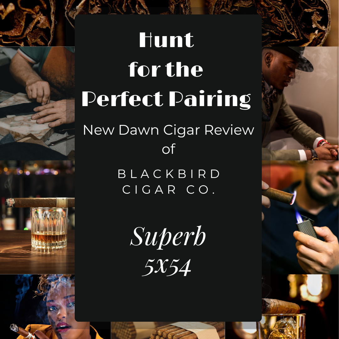 Cigar Hunt: Blackbird Superb