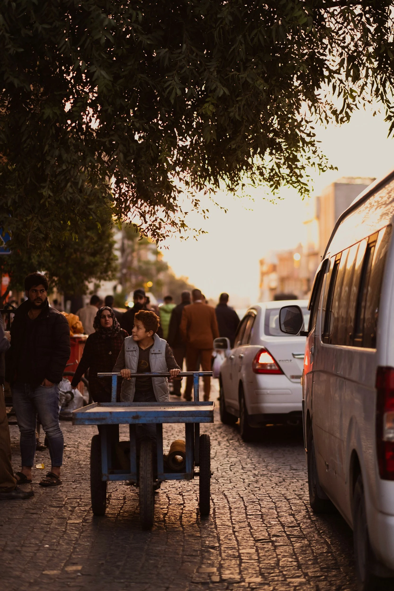 A boy pushing a blue cart on a cobblestone street during sunset, with cars parked on the side and people walking in the background under a large tree.